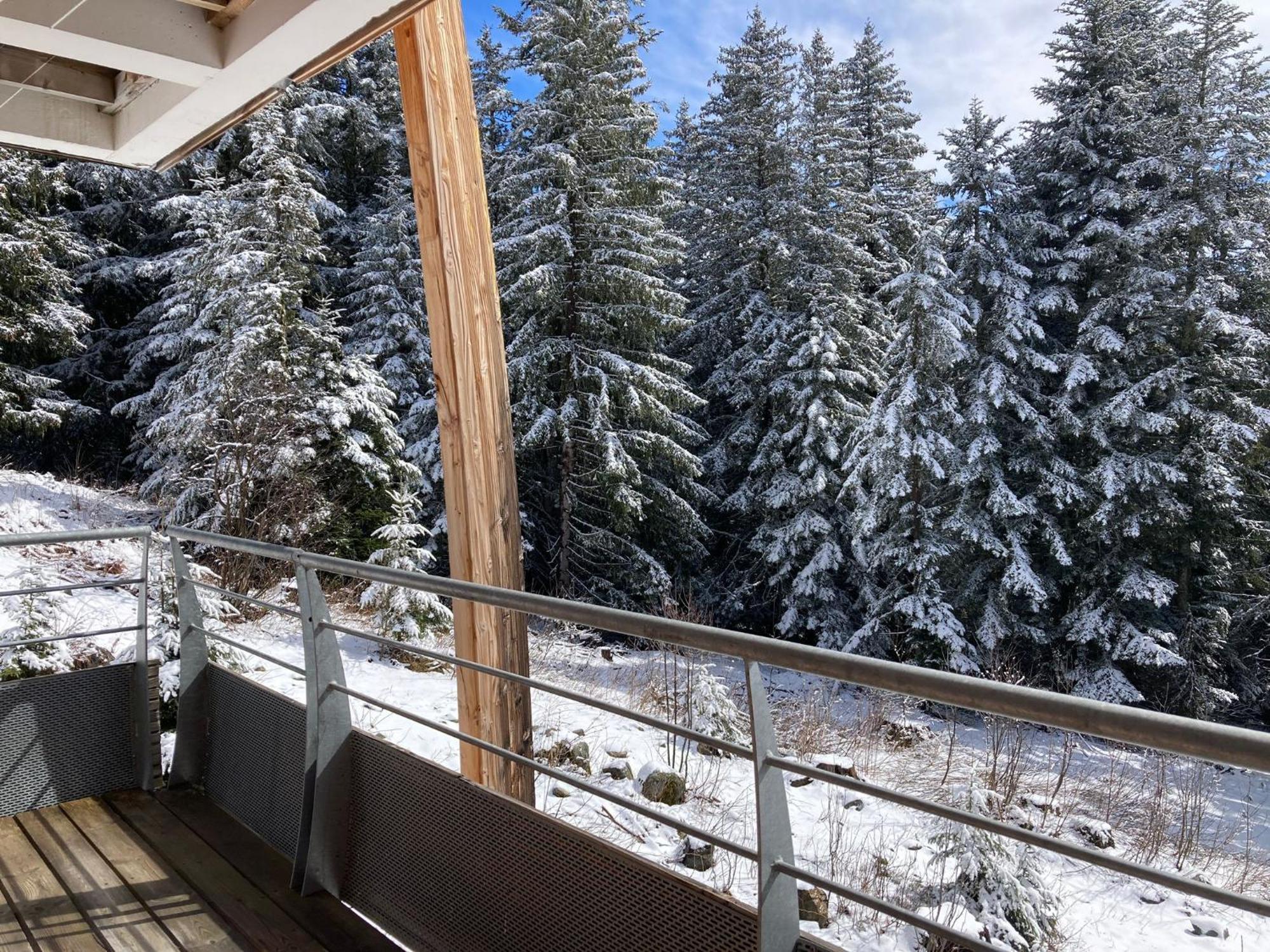Studio Chamrousse 1700 Pour 4 Personnes - Au Calme - Avec Wifi 外观 照片